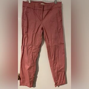 LOFT Outlet Pink Modern Roll Cuff Chino 8